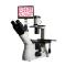 Varnishing BM-37XCP Tablet Inverted Biological Microscope