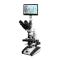 Varnishing BM-20APHP Tablet Microscope 40X-1600X