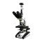 Varnishing BM-20APHD Computer Phase Contrast Microscope UIS Infinity