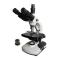 VARNISING BM-14DF Light and Dark Field of View Microscope Tricycle Tube