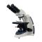 Varnishing BM-17 UIS Biological Microscope Infinity System