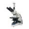 Varnishing BM-17AD Computer UIS Microscope 40X-1000X Magnification