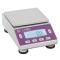 Shangtian Jingyi GL30001S Stainless Steel Application Balance Experiment Electronic Balance 3000g/0.1g