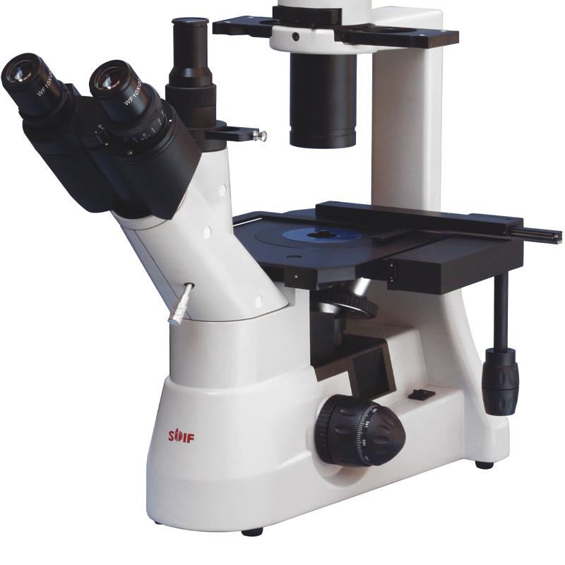 Confocal Microscopy 1