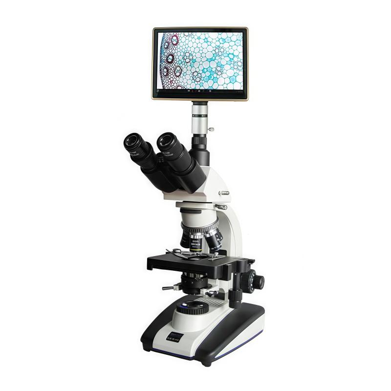 SHSGBM BM-20APHP Tablet PC Phase Contrast Microscope