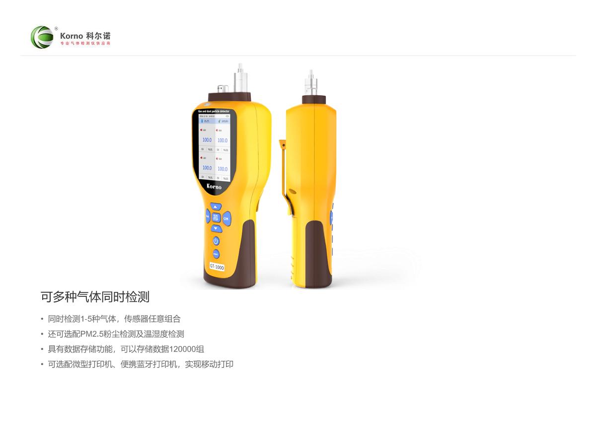 KORNO GT-1000-C3H8(0-100%Vol) Gas Detector brochure page 3