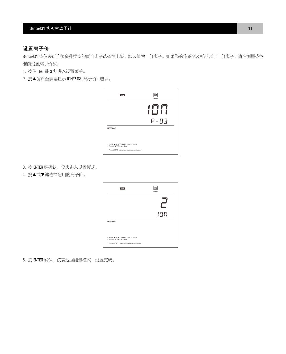 Bante Bante931-Cn Laboratory Ion MeterManual page 12