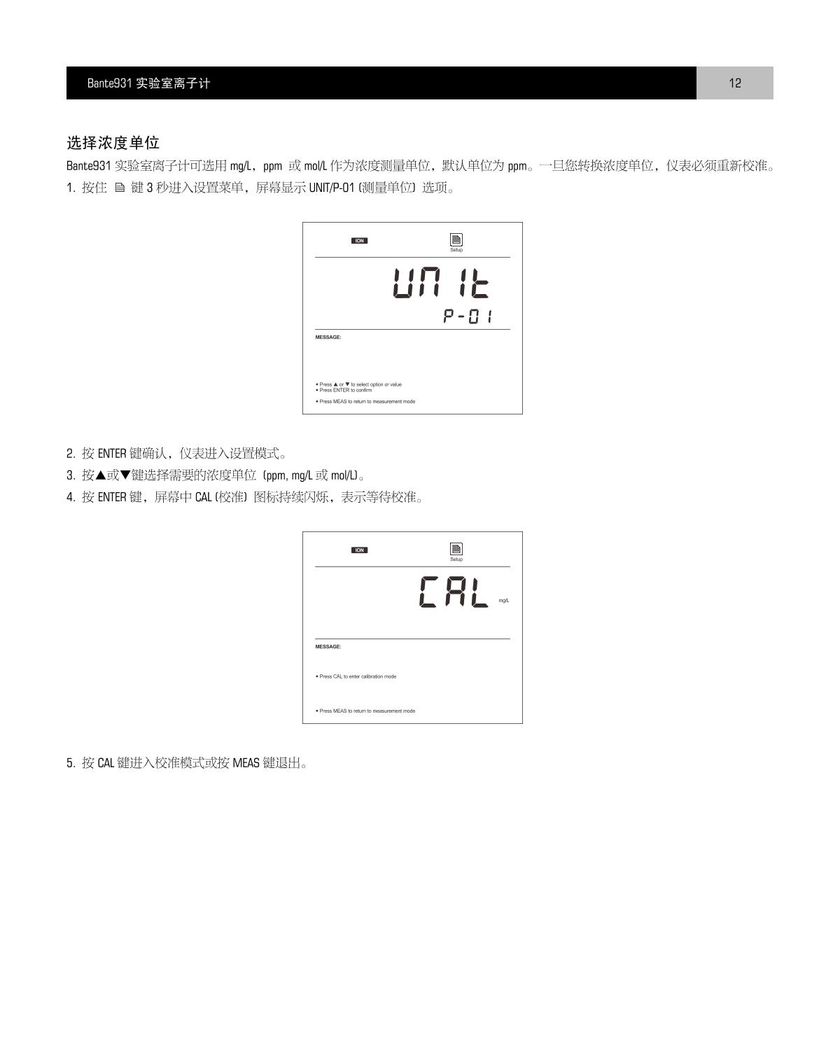 Bante Bante931-Cd Laboratory Ion MeterManual page 13