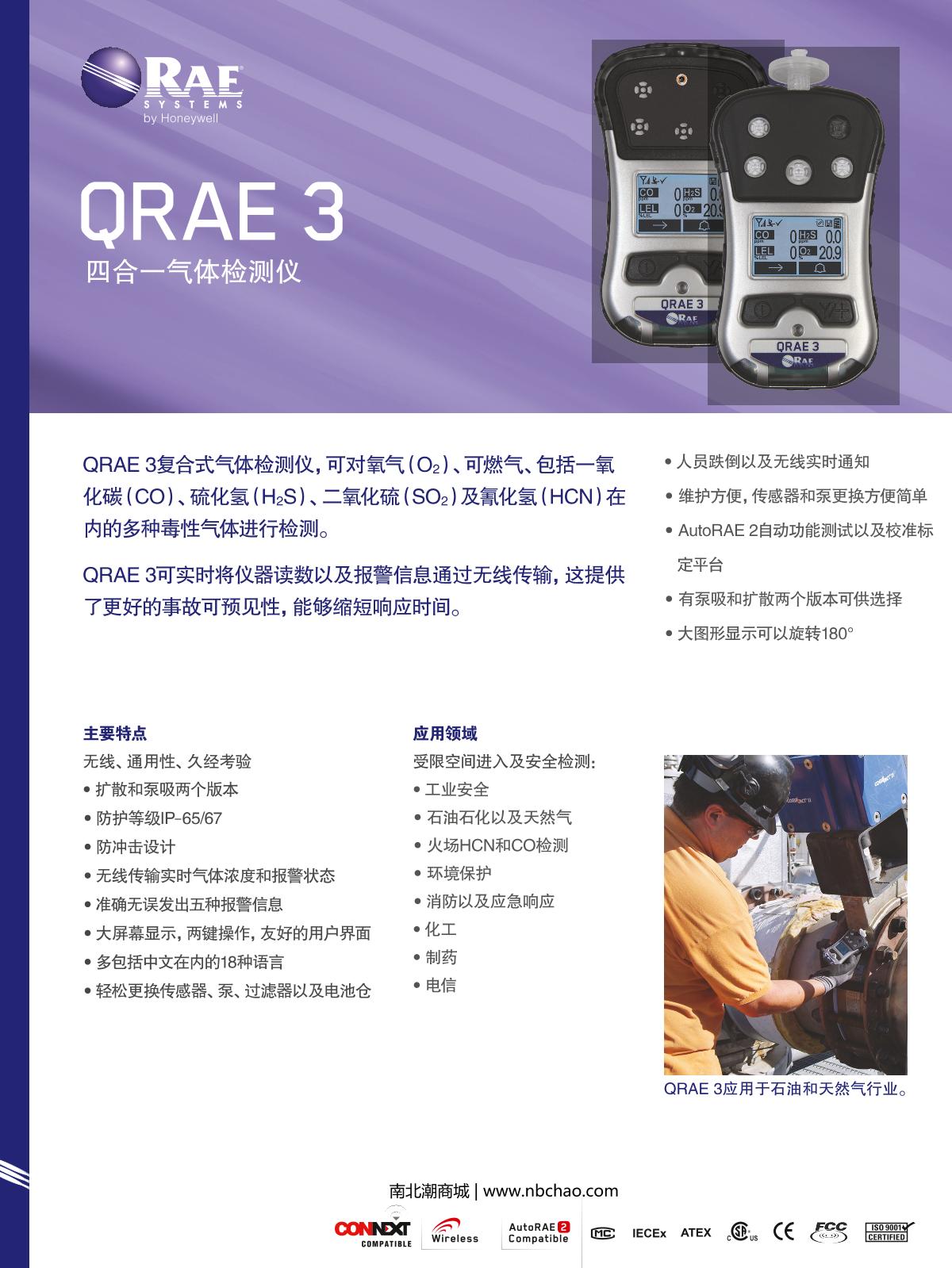 RAE   brochure page 1