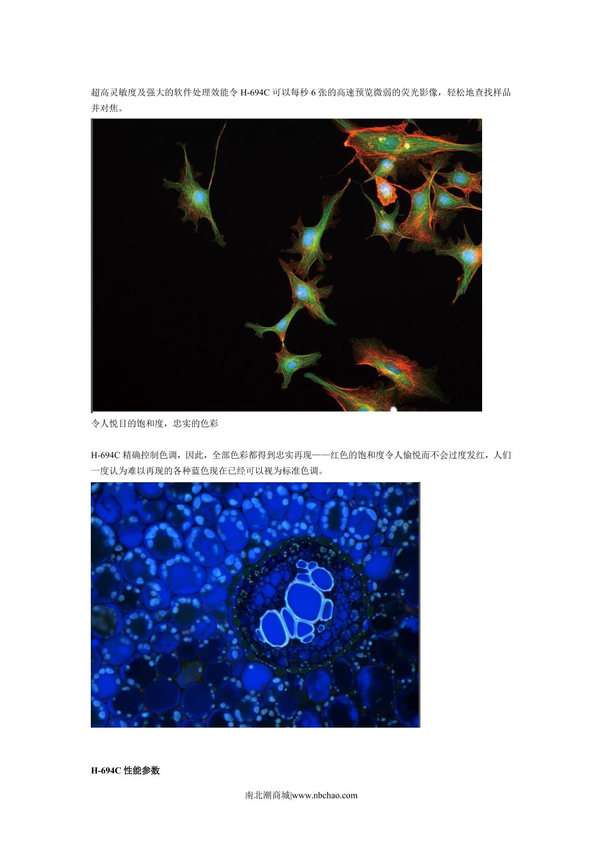 Teelen H-694CICE Microscope dedicated camera brochure page 2