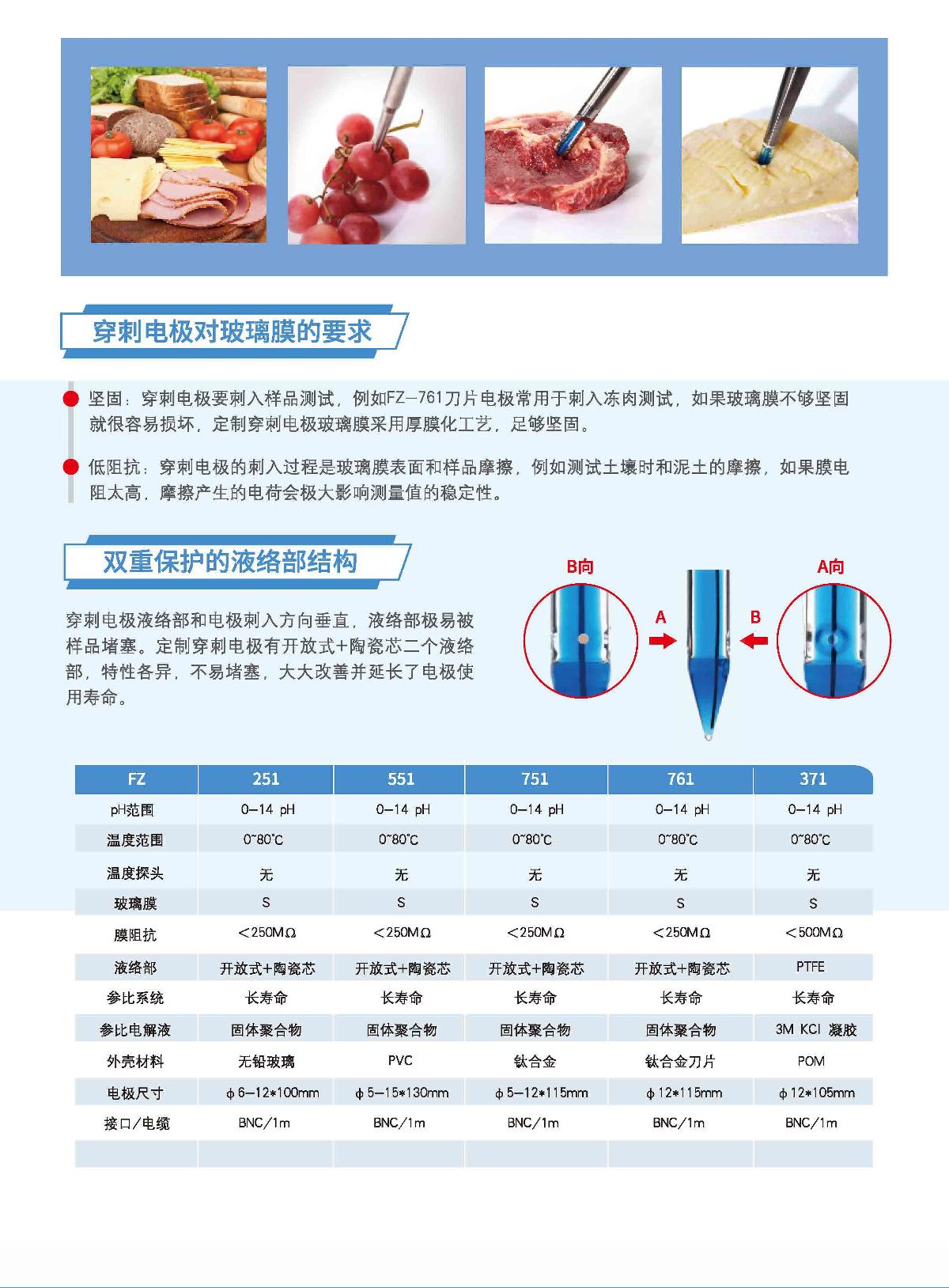FZchina FZ-551 PH electrode brochure page 4
