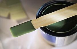 What is paint, why are paints collectively referred to as "paint"? Picture 1