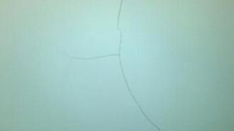 What is the reason for the cracking of the paint film in a short period of time, and how to prevent it? Picture 1