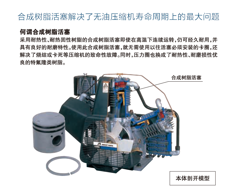 巖田 TFPJ02B-6 無(wú)油活塞式空壓機(jī)模型