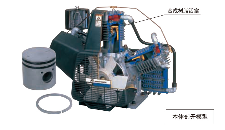 岩田CFPJ110-14无油空气压缩机剖开模型图