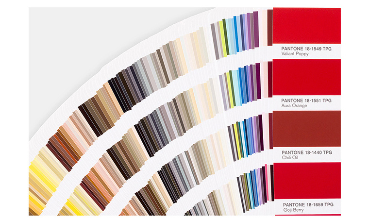 Pantone FHIP110N Formula Guide (Color Guide Added 2016 New Edition