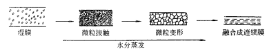 Coating film-forming mechanism Non-conversion coating and conversion coating film-forming diagram 1
