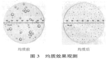 How to choose a homogenizer with picture 1