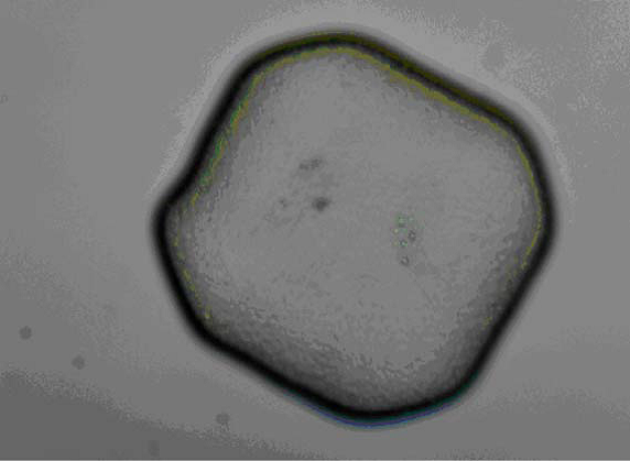 Photoresist layer and ITO layer thickness measurement diagram 2 in the touch screen
