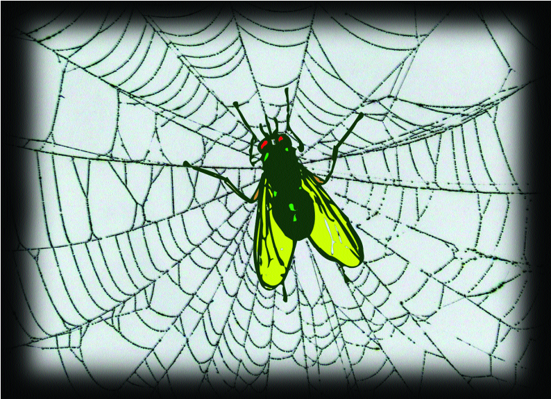 Paint adhesion test case according to ASTM D4541 is shown in Figure 1