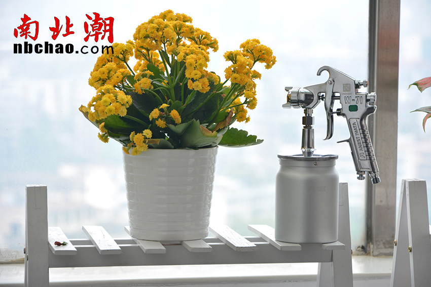 Take you to know Iwata series Spray Gun with picture 1