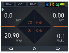 NGP40 Series Portable Multifunctional Gas Detector Product Manual with Figure 3