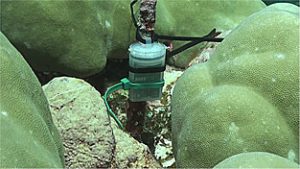 Picture 1 of Onset UA-002-64’s growth environment detection in Micronesia’s coral reefs