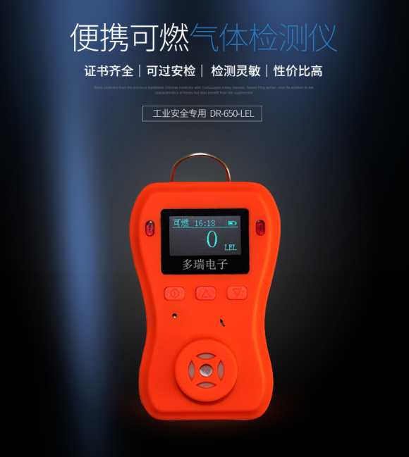DR-650-LEL Combustible Gas Detector Details Figure 2