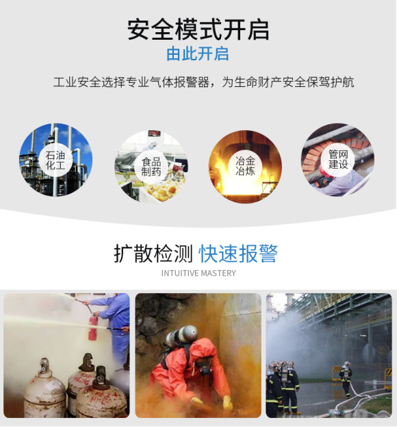 DR-650-LEL Combustible Gas Detector Details Figure 3