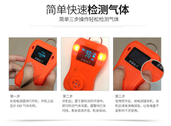 DR-650-LEL Combustible Gas Detector Details Figure 13