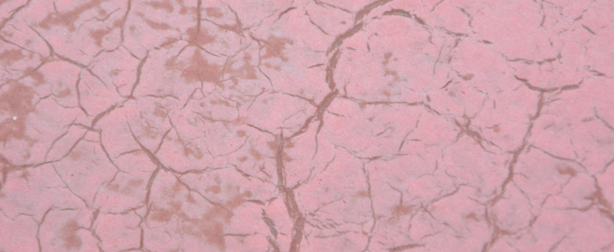 What are the common causes of paint failure?  Picture 1