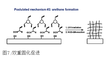 Increased adhesion of UV coatings on wood Fig. 2