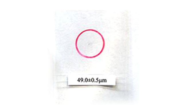 Shenyang Tianxing correction film display map