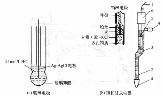 ph值测定电池的电极