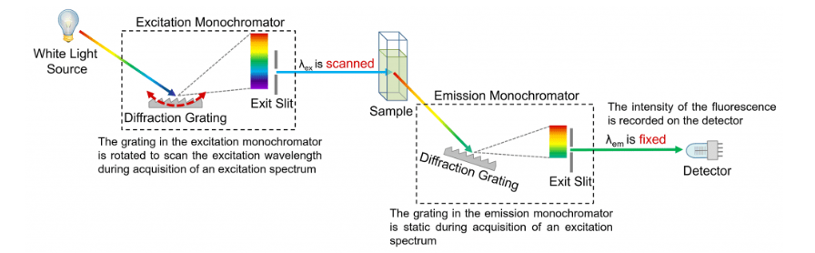 What are absorption, excitation and emission spectra?  Picture 5