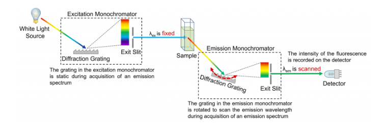 What are absorption, excitation and emission spectra?  Picture 7