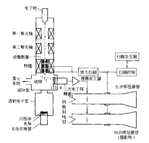 Working principle of scanning electron microscope with figure 2
