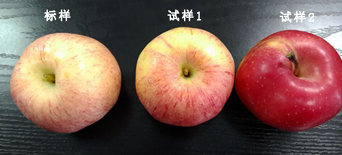 Application of color measuring instrument in apple color grading measurement with picture 1