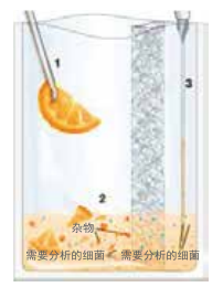 How to use the sterile homogenizer correctly? Graphic version with picture 1