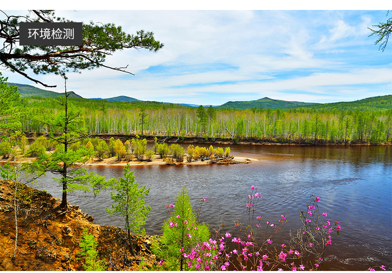 华盛昌 DT-3880 热敏式风速仪详情图16