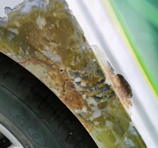 What is phenolic primer with picture 1