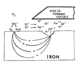 Causes and prevention of edge corrosion and filiform corrosion Fig. 3
