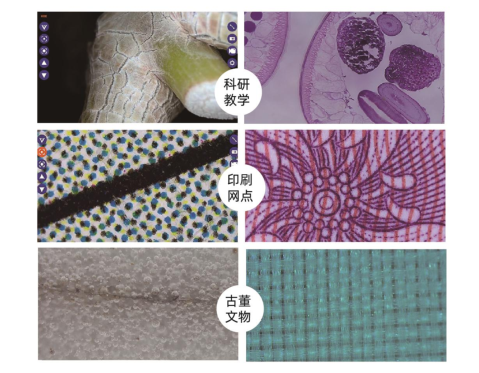 Details of the Anity 3R-MSA620WF Portable Smart HD Microscope Figure 1