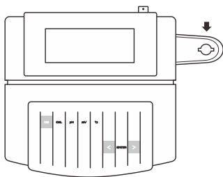 Electrode Mount
